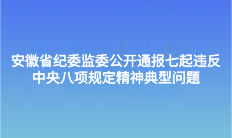 安徽省紀委監委公開通報七起違反中央八項規定精神典型問題