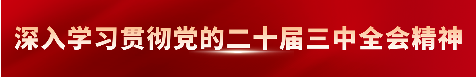 深入學習貫徹黨的二十屆三中全會精神