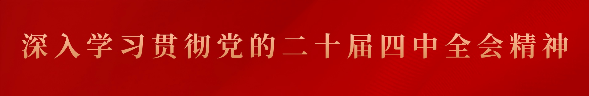 深入學習貫徹黨的二十屆四中全會精神